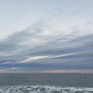 Meet your Posher, Dan